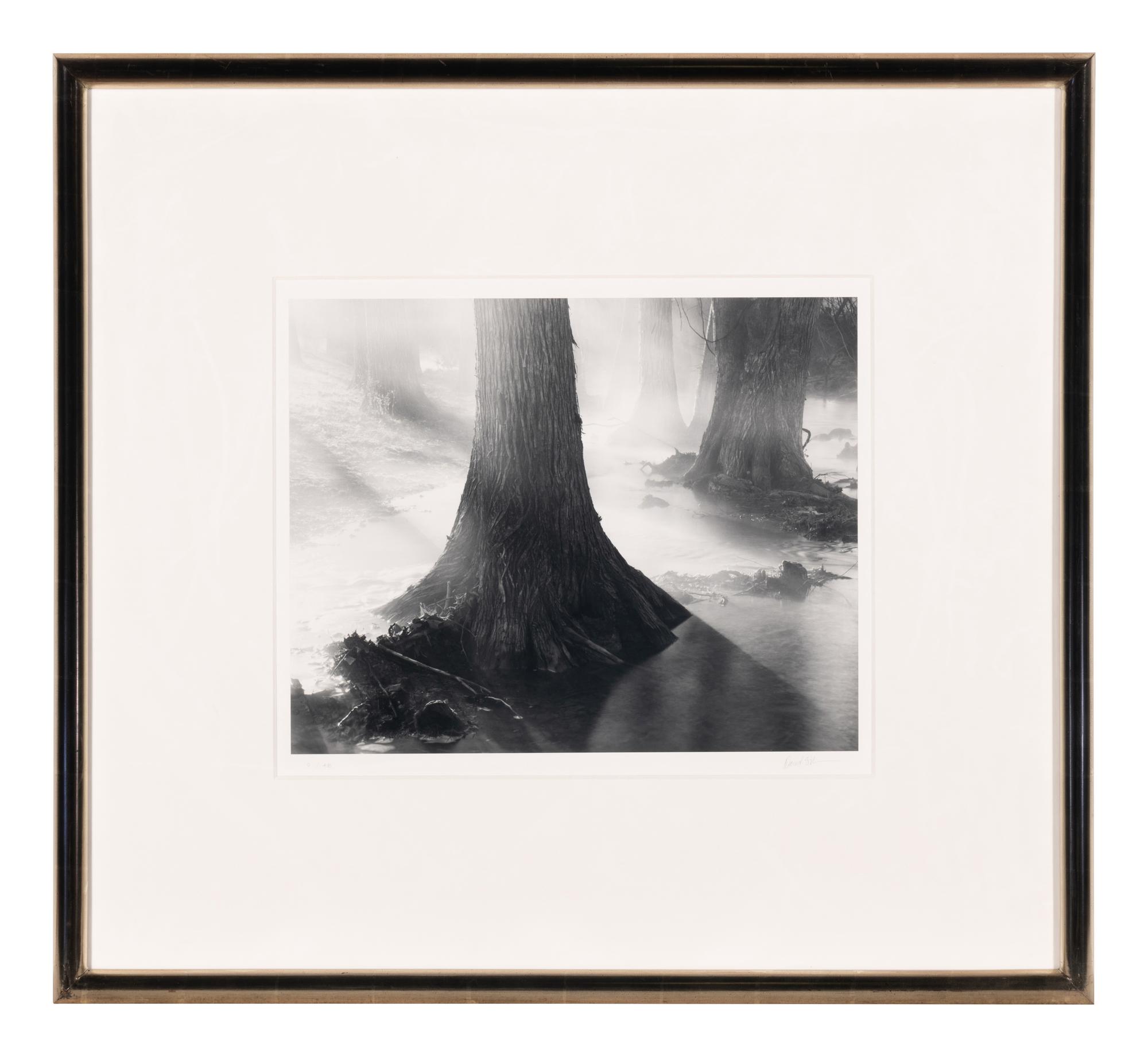 Untitled (Two Works)