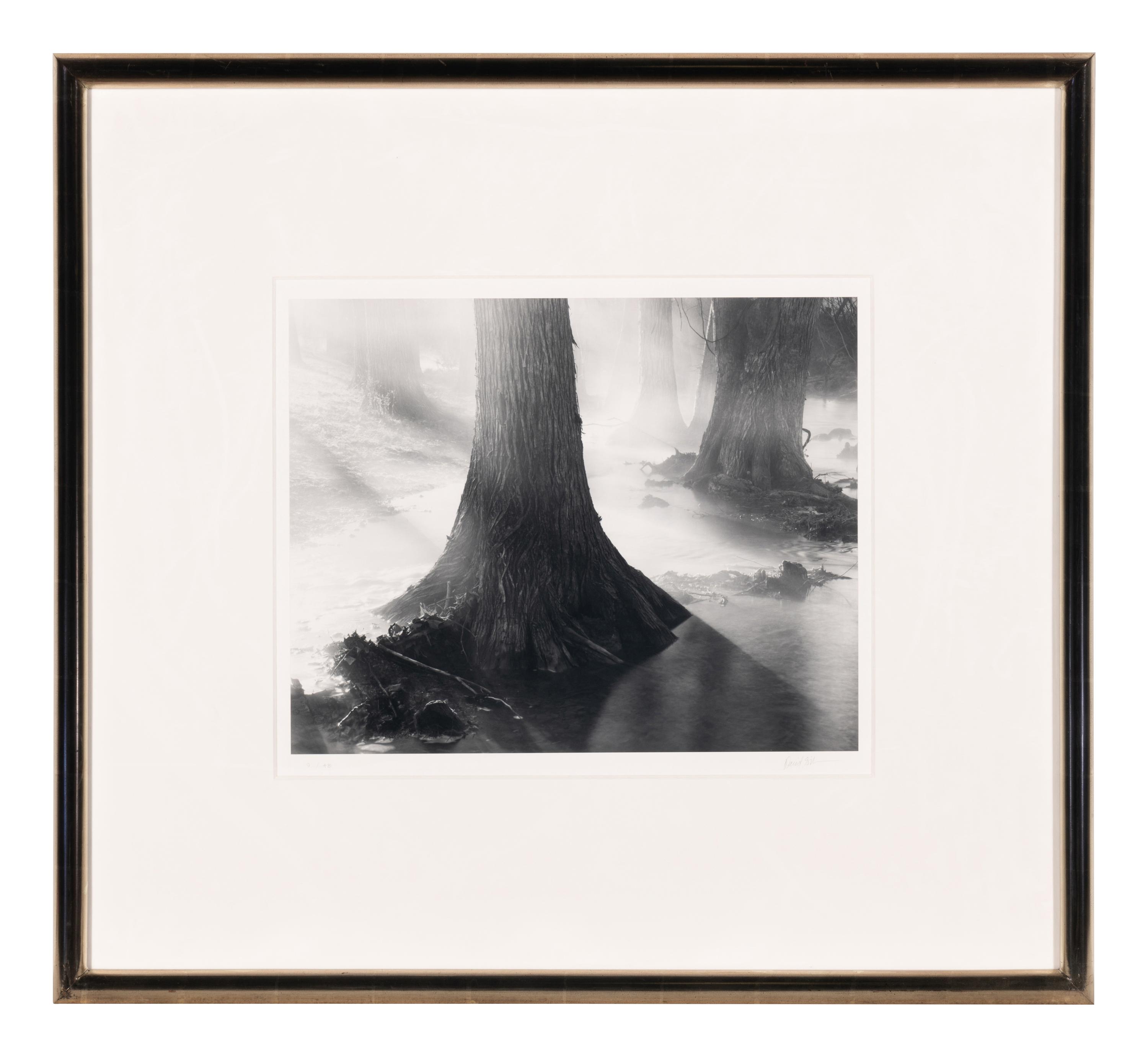 Untitled (Two Works)