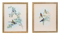 Two Ornithological Hand Colored Lithographs