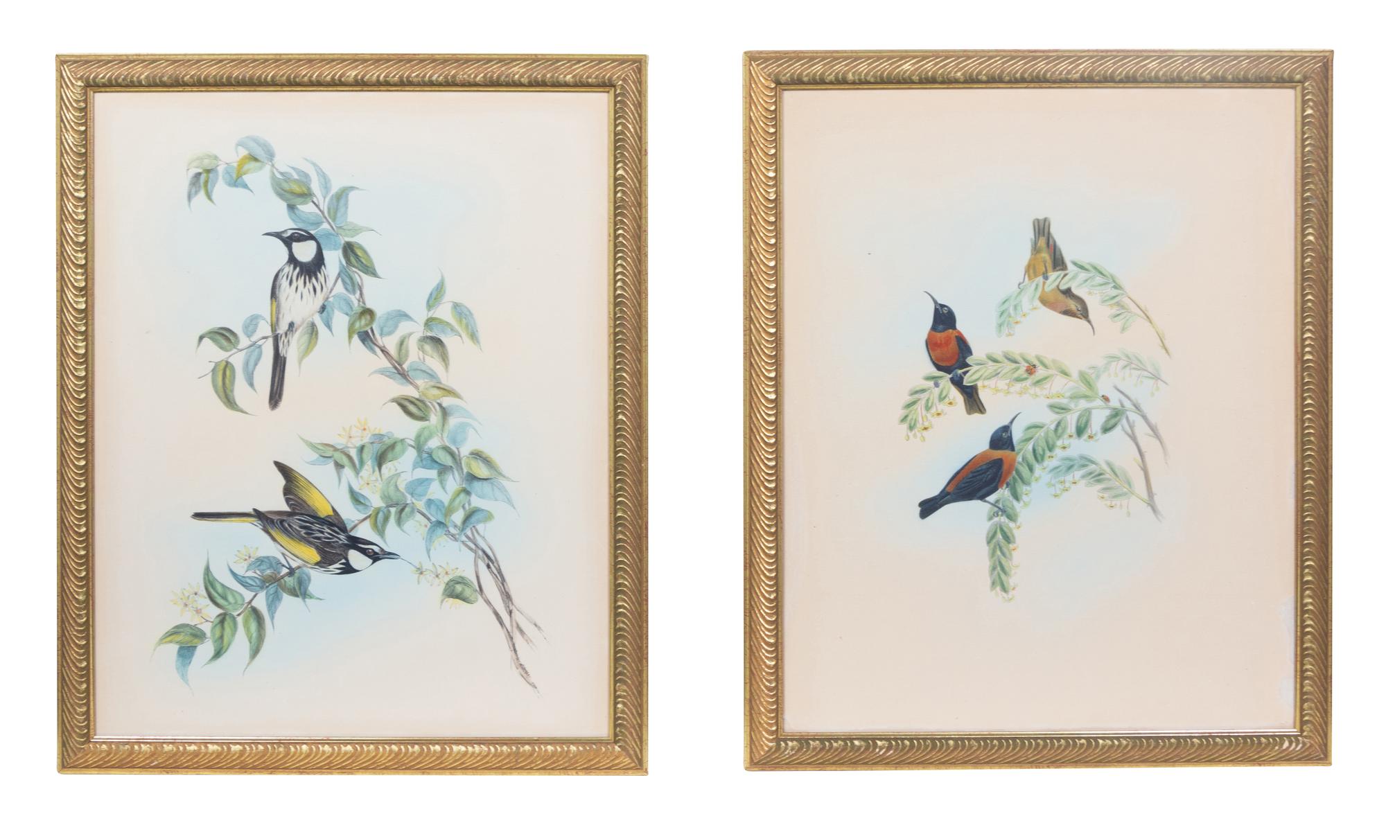 Two Ornithological Hand Colored Lithographs