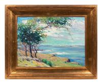 Cypress Trees at Carmel