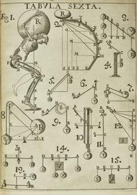 [Science, Medicine & Mathematics] Borelli, Giovanni Alfonso. De Motu Animalium