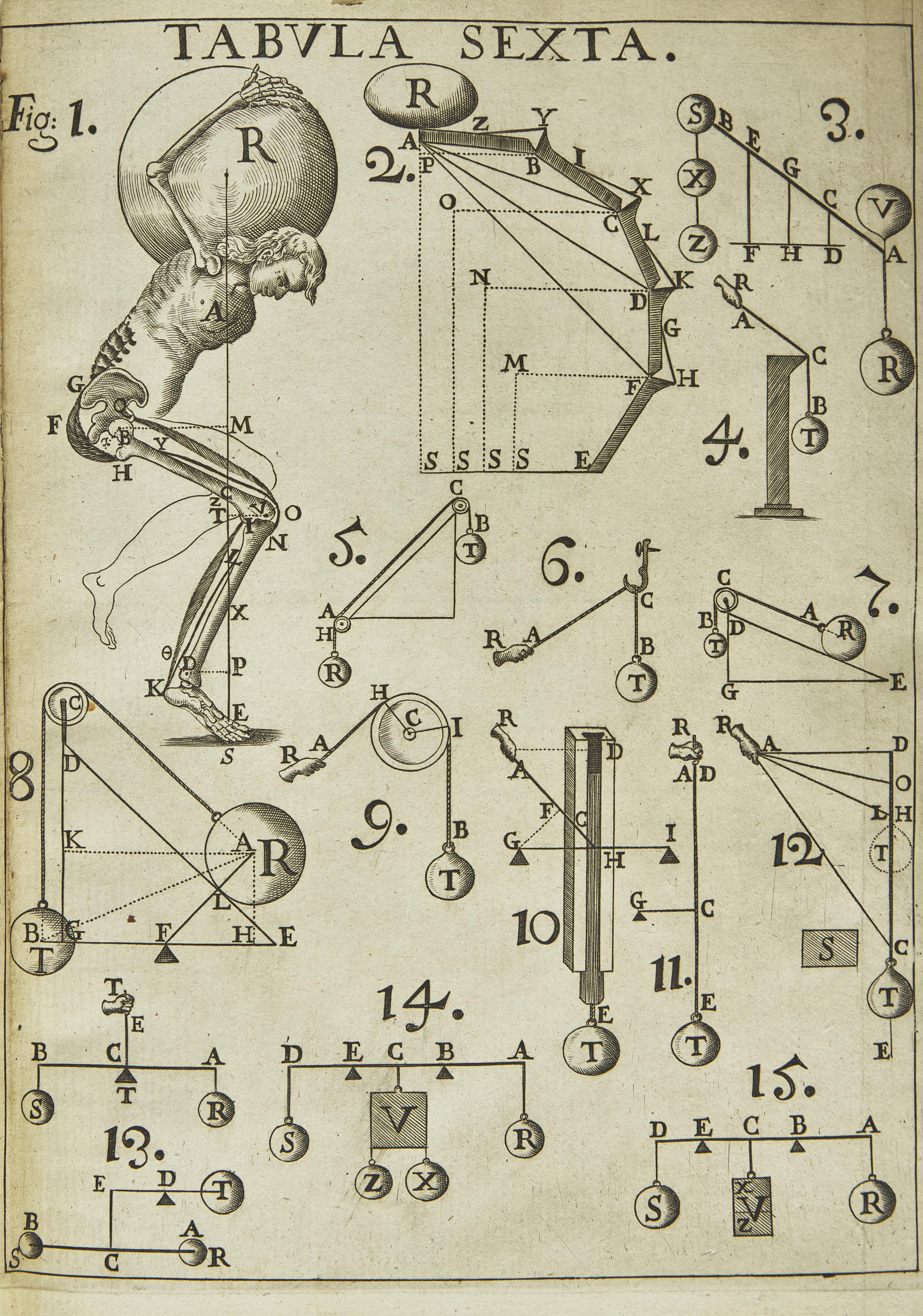 [Science, Medicine & Mathematics] Borelli, Giovanni Alfonso. De Motu Animalium