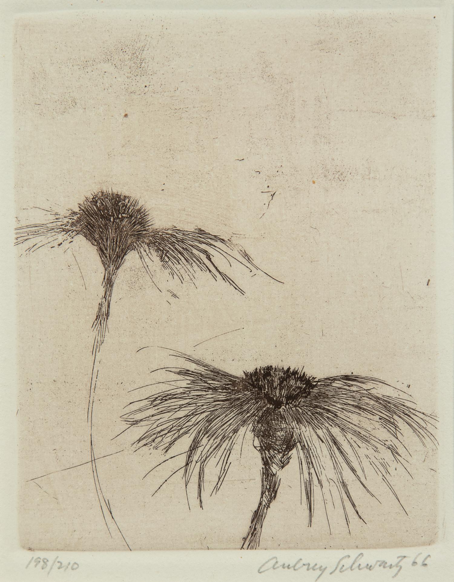 A group of three 20th Century prints (by Aubrey Schwartz and two signed illegibly)