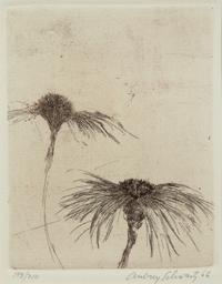 A group of three 20th Century prints (by Aubrey Schwartz and two signed illegibly)