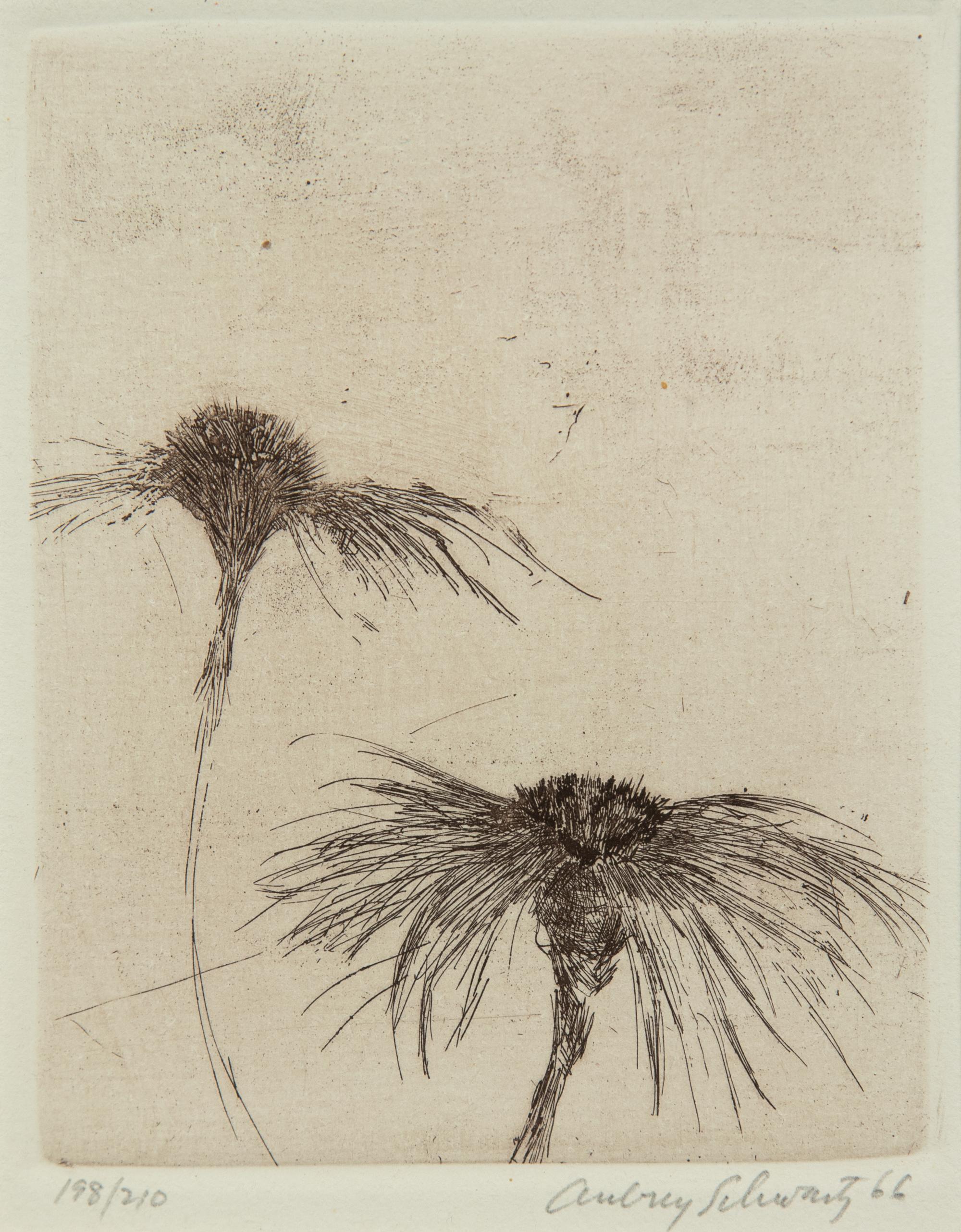 A group of three 20th Century prints (by Aubrey Schwartz and two signed illegibly)