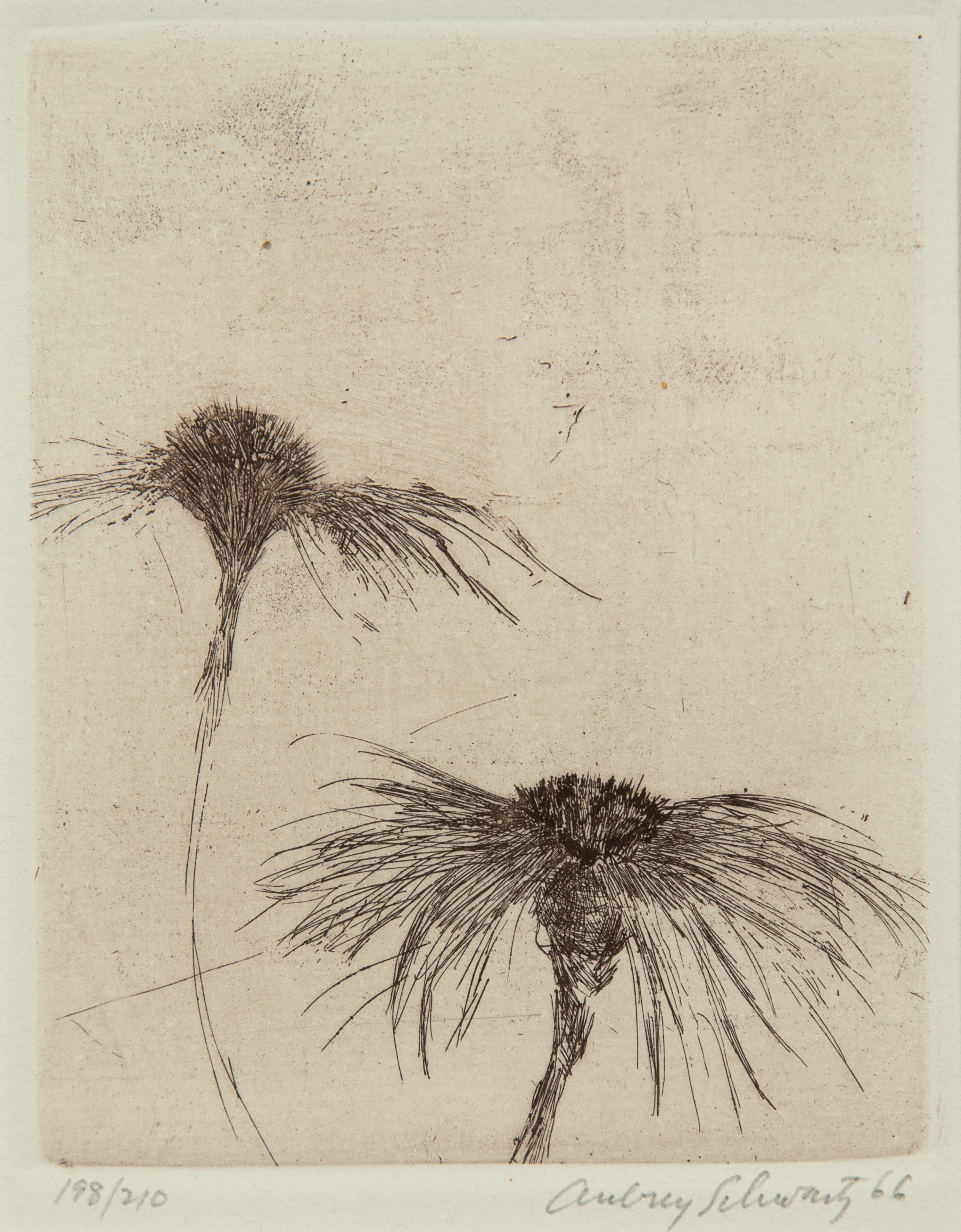 A group of three 20th Century prints (by Aubrey Schwartz and two signed illegibly)