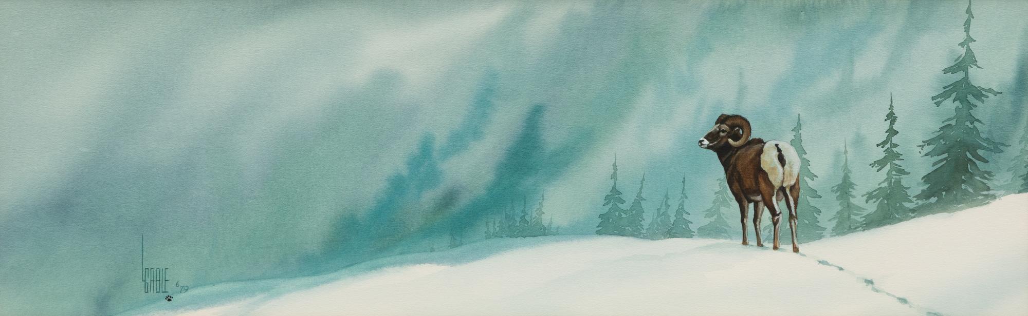 Bighorn in Snow