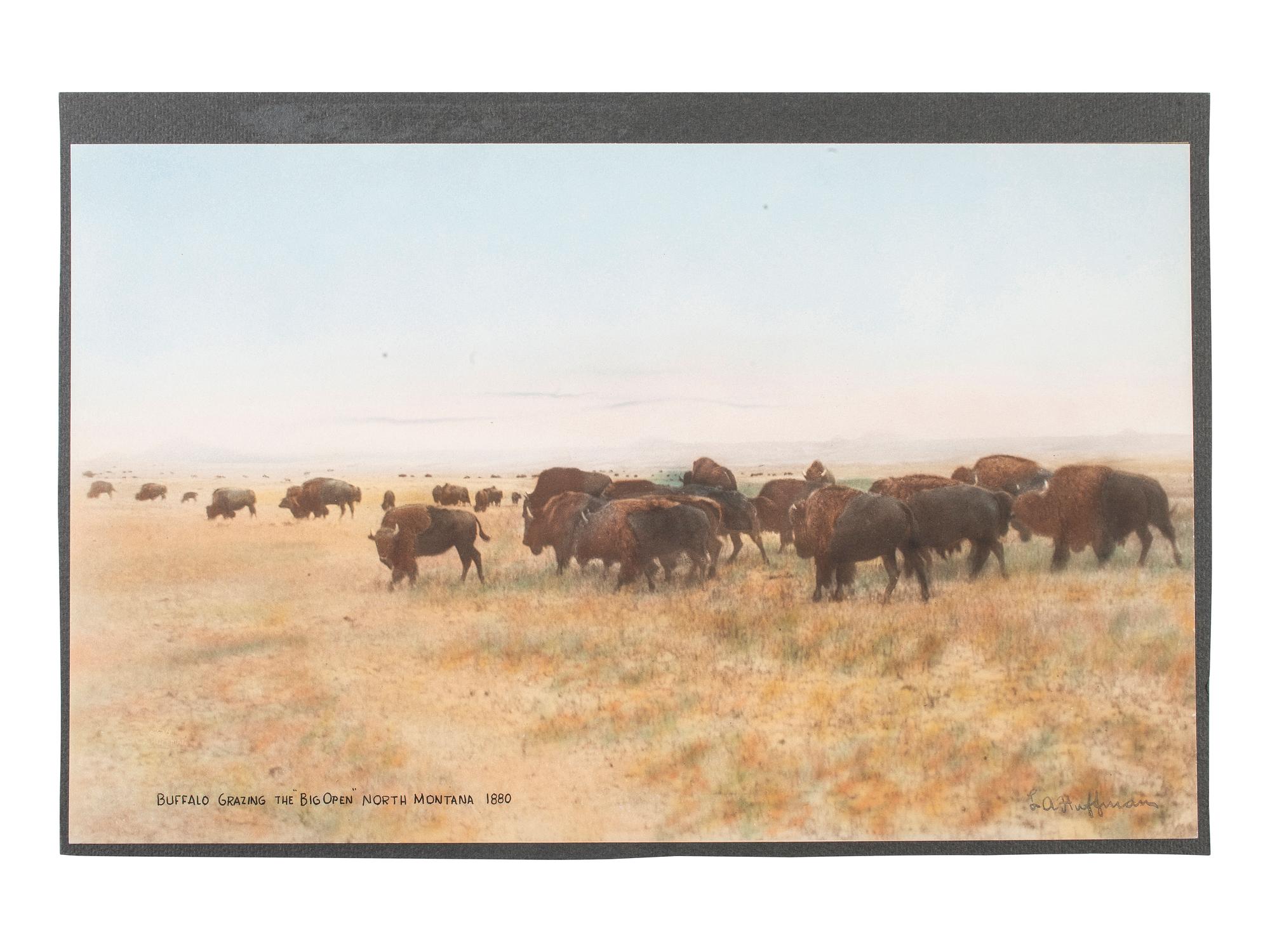[WESTERN AMERICANA]. HUFFMAN, L.A., photographer. 3 collotypes of buffalo.