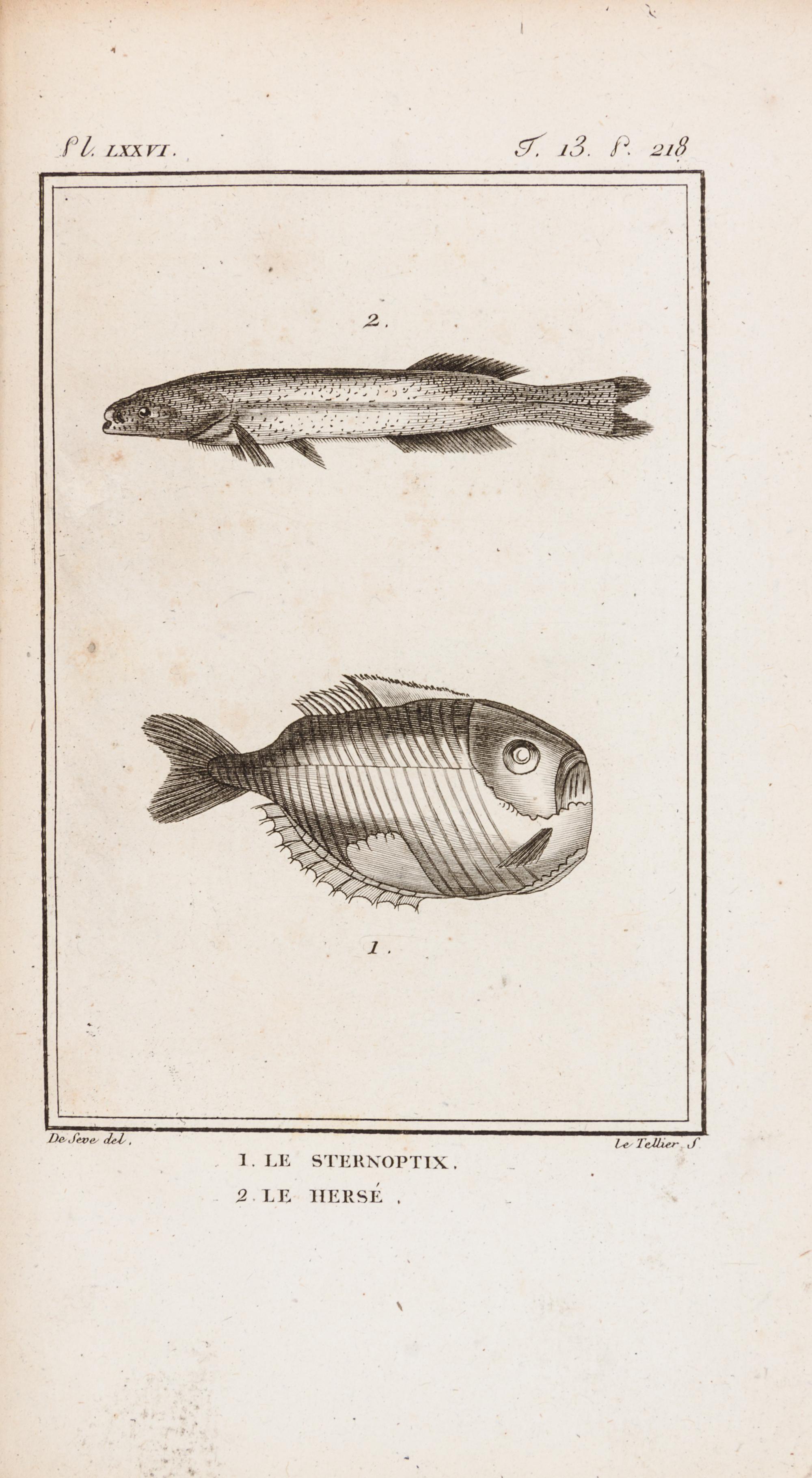 (BUFFON, LECLERC) SONNINI, CHARLES SIGISBERT. Histoire naturelle, generale et particuliere des poissons...Paris, 1803-4. 13 v. 1st ed.