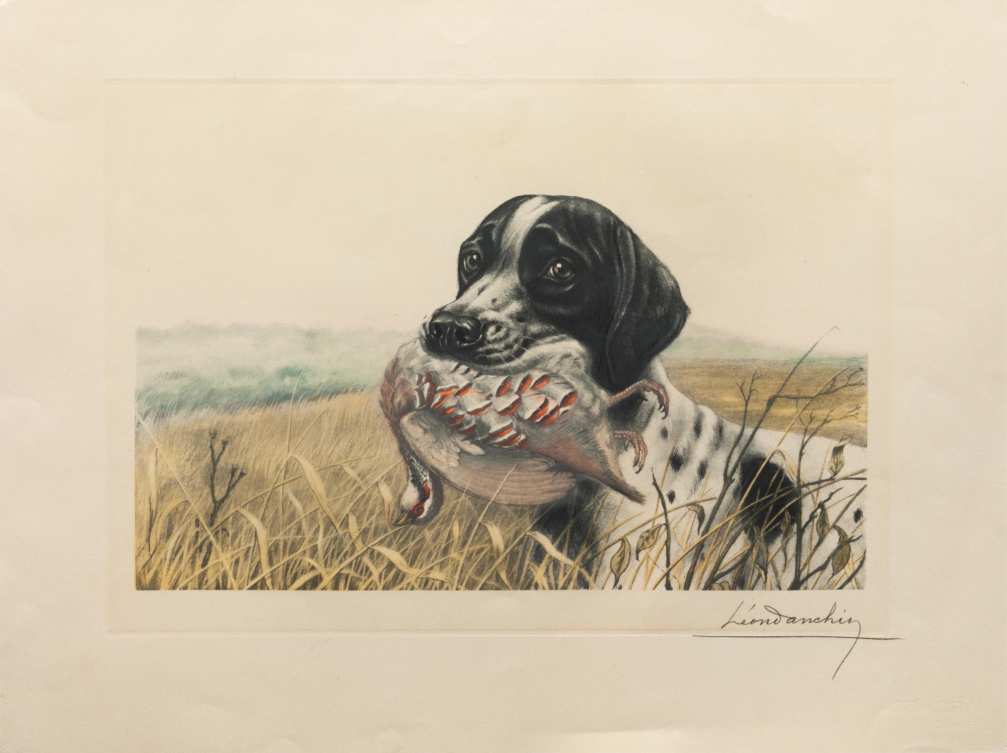 Eight Prints depicting English Cocker Spaniels Largest: 23 1/4 x 41 inches.