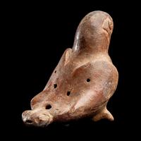 A Moche Terracotta Parrot Whistle