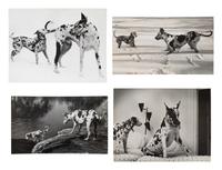A Group of Four Works depicting dogs, 1958-65; printed ca. 1958-65