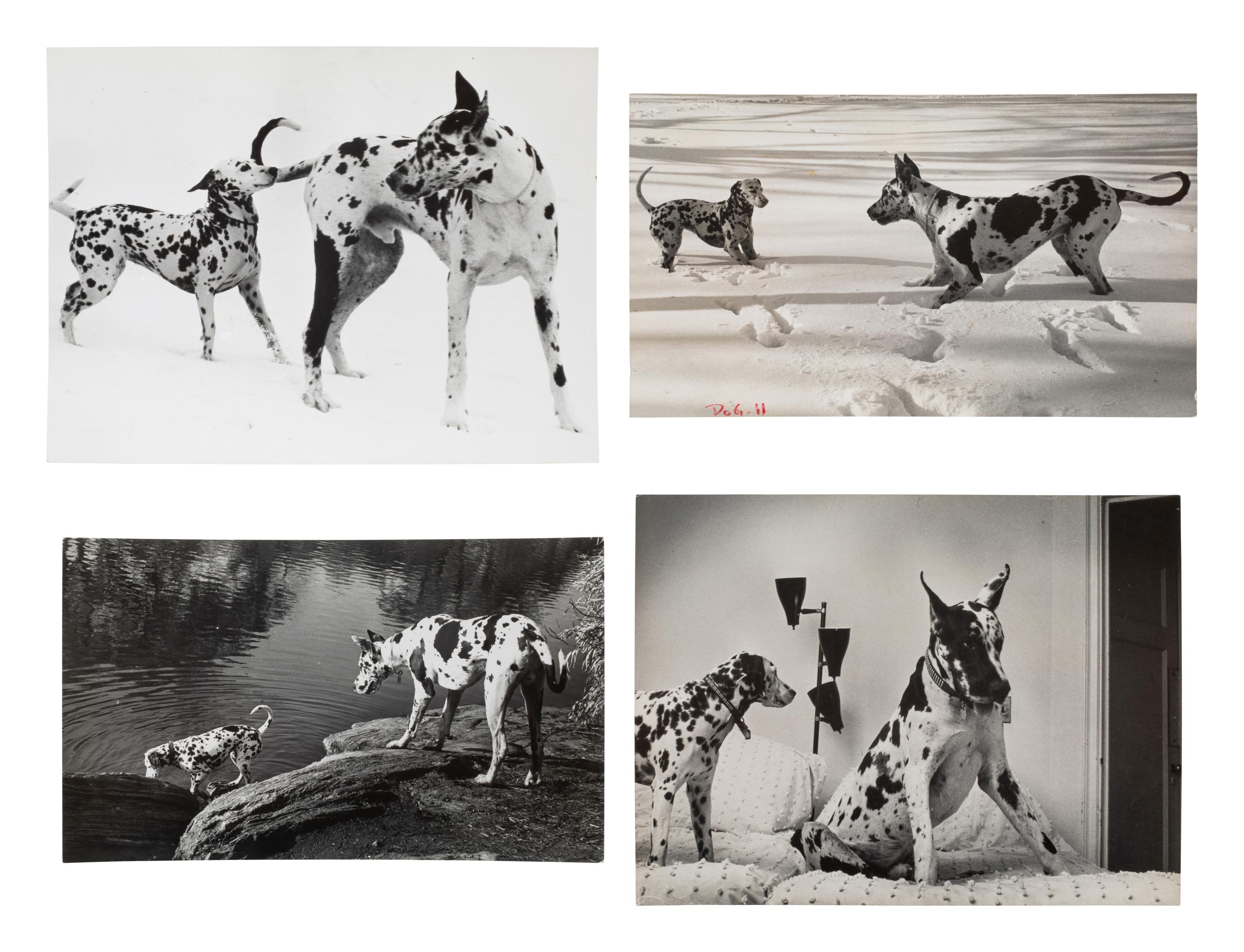 A Group of Four Works depicting dogs, 1958-65; printed ca. 1958-65