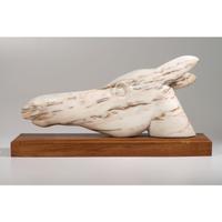 untitled, horse