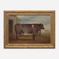 British School (19th Century) Prize Cow, Facing Right