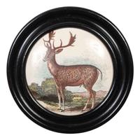 Four Framed Porcelain Animal Plaques