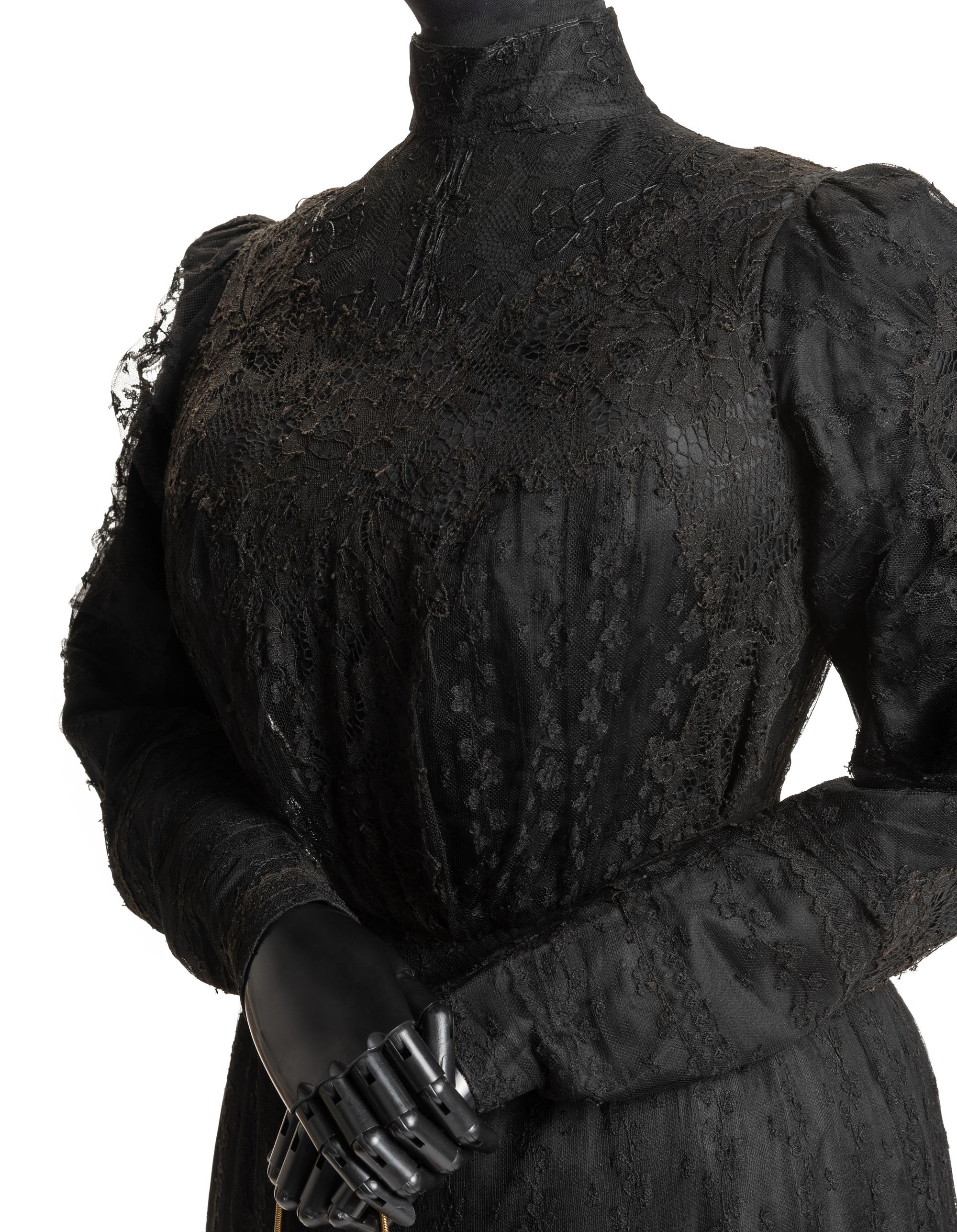 Wilhelmine Eckhardt Edwardian Lace Dress, c.1905