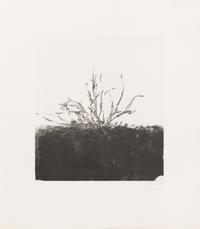 Avigdor Arikha, (Israeli, 1929-2010), Au loin un oiseau, 1973 (complete portfolio of 5 etchings)