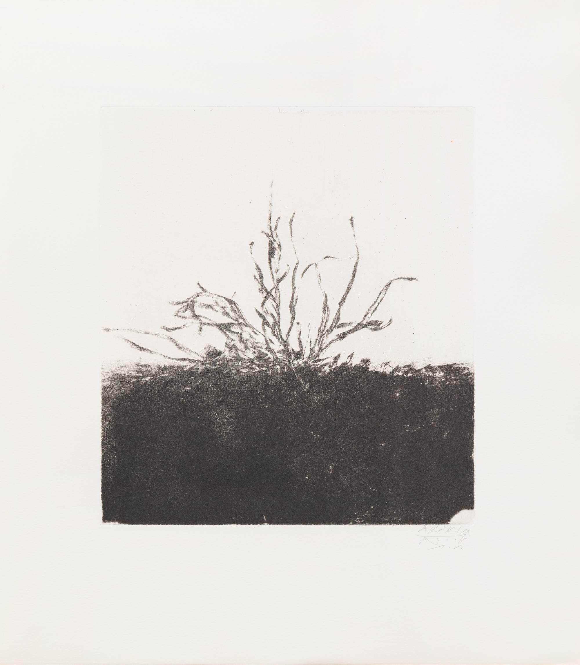 Avigdor Arikha, (Israeli, 1929-2010), Au loin un oiseau, 1973 (complete portfolio of 5 etchings)