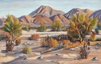 Desert Landscape