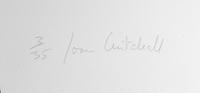 Brush - State I