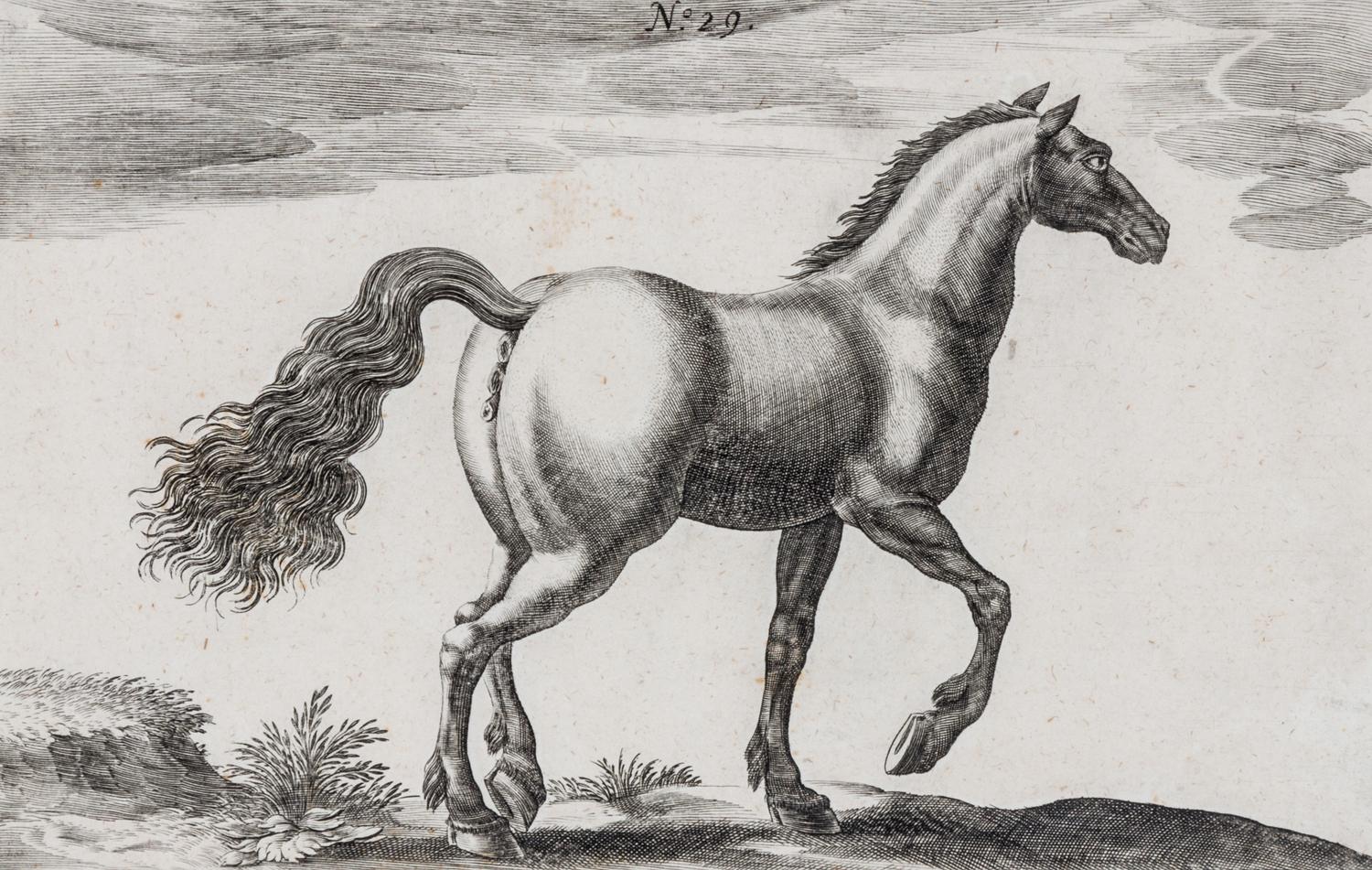 Artists Unknown, (17th/18th century), Horse, Horse and Rider and Horses (three works)