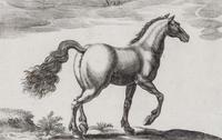 Artists Unknown, (17th/18th century), Horse, Horse and Rider and Horses (three works)