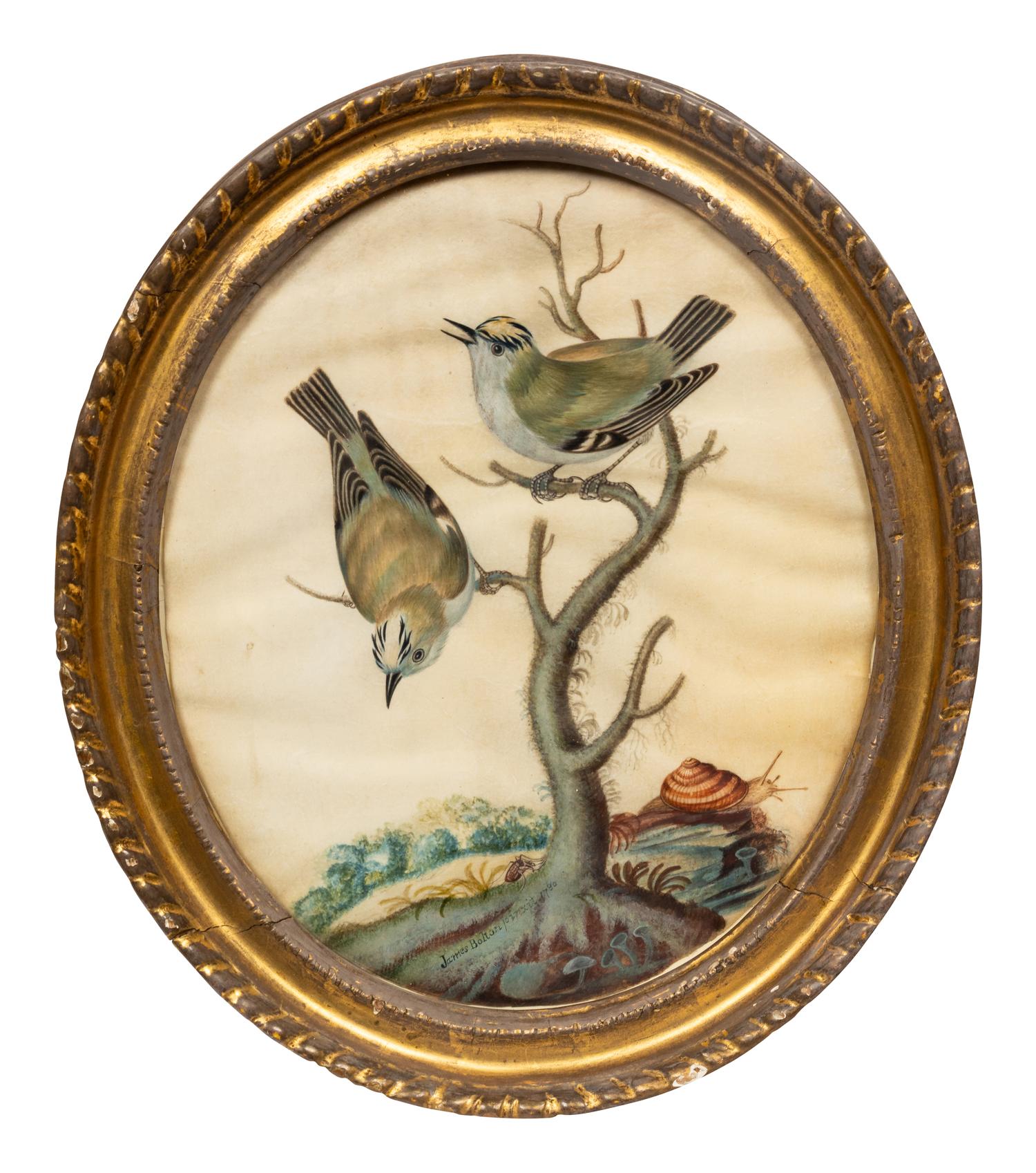James Bolton (British, c. 1740-1799)