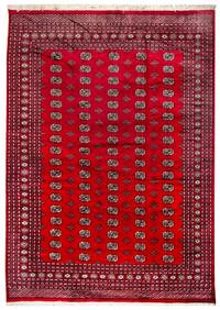 A Bokhara Wool Rug 10 feet 11 inches x 8 feet 3 inches. — SECOND HALF 20TH CENTURY