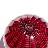 Dale Chihuly (American, b. 1941) — Red Seaform Set, 1995