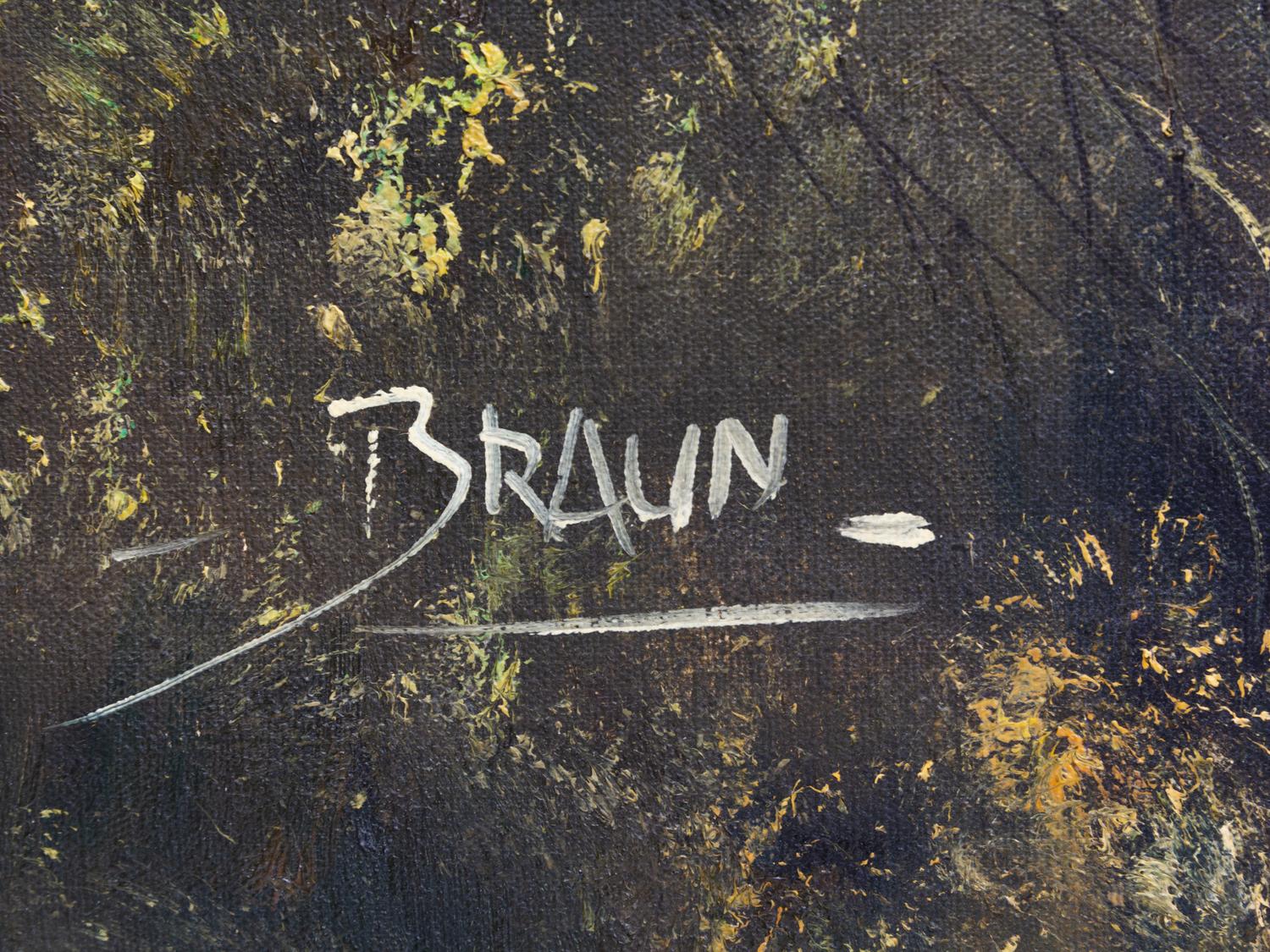 Jorge Braun Tarallo