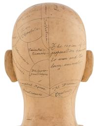 A Carved and Painted Wood Phrenology Head