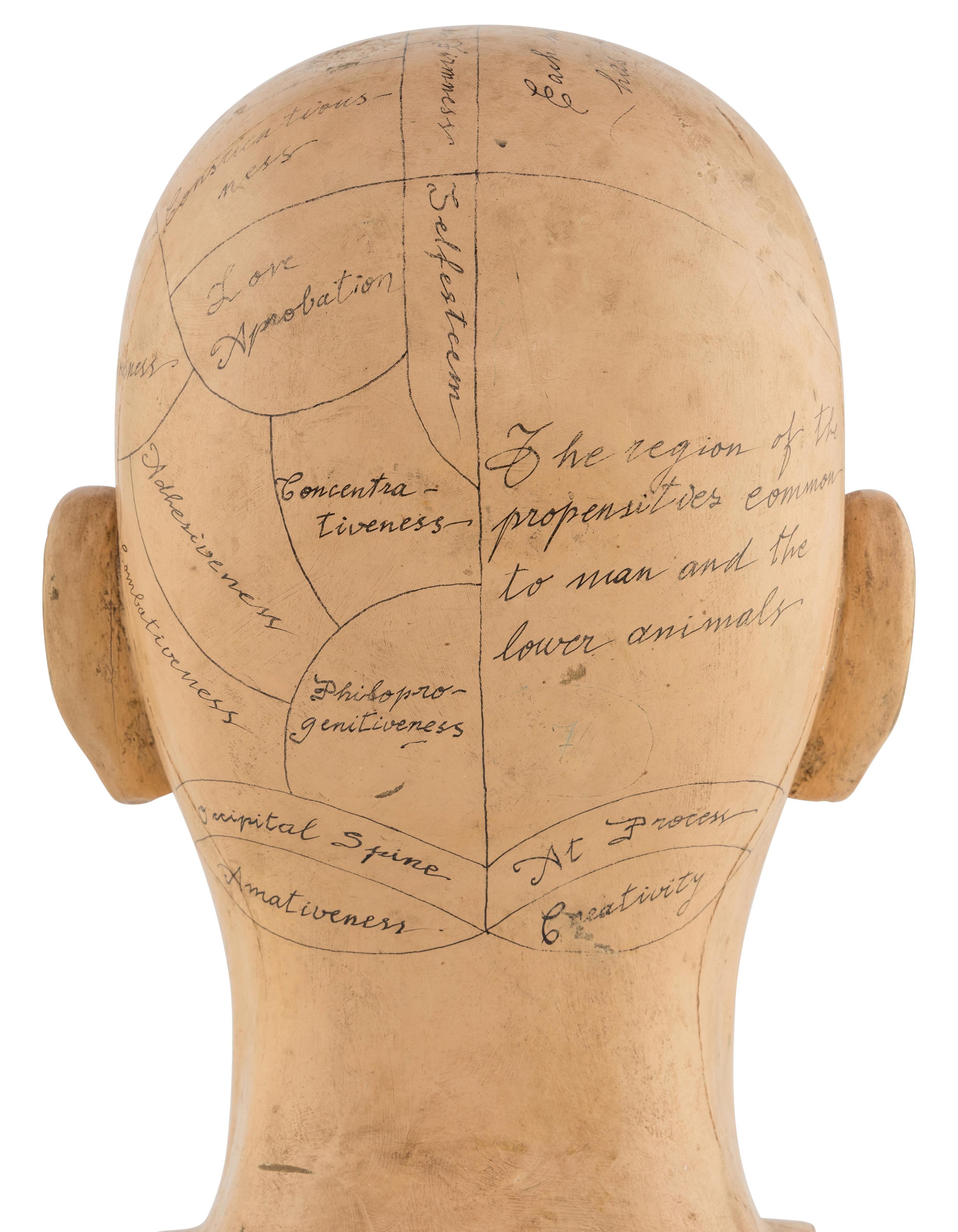 A Carved and Painted Wood Phrenology Head