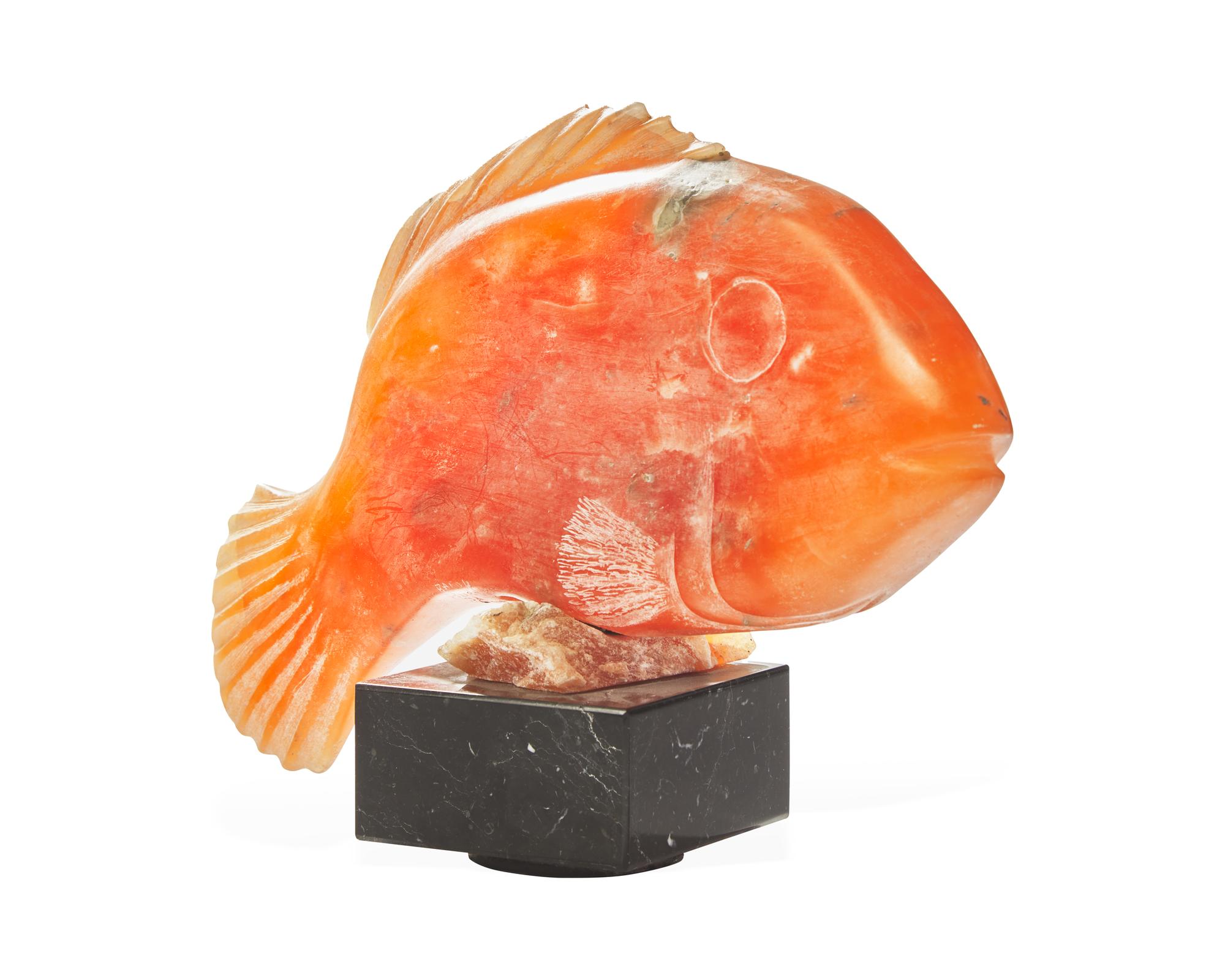 Tropical Fish