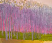 Aura, 2004