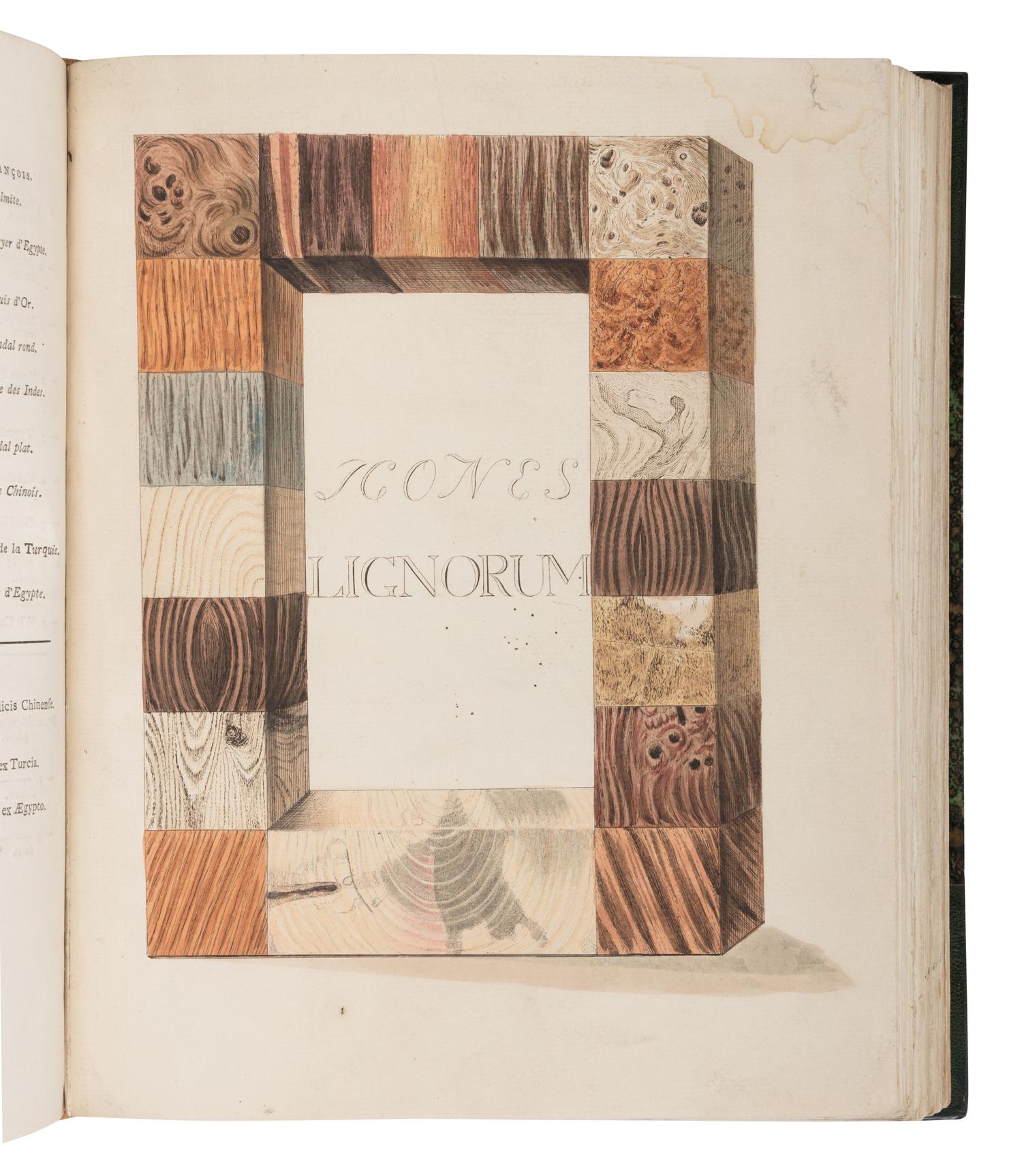 [NATURAL HISTORY]. [HOUTTUYN, Martinus (1720-1798)]. A Representation of Inland and Foreign Wood, as well Trees as Shrubs, which are Collected by the Lovers of Natural History in their Cabinets of Natural Curiosities for Use and Pleasure . -- Afbeeldingen van Meest alle Bekende, In- en Uitlandsche Houten... -- Abbildung In-und Auslaendischer Hoeltzer… Amsterdam: Jan Christian Sepp, 1773, 1791-1795.