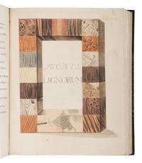 [NATURAL HISTORY]. [HOUTTUYN, Martinus (1720-1798)]. A Representation of Inland and Foreign Wood, as well Trees as Shrubs, which are Collected by the Lovers of Natural History in their Cabinets of Natural Curiosities for Use and Pleasure . -- Afbeeldingen van Meest alle Bekende, In- en Uitlandsche Houten... -- Abbildung In-und Auslaendischer Hoeltzer… Amsterdam: Jan Christian Sepp, 1773, 1791-1795.