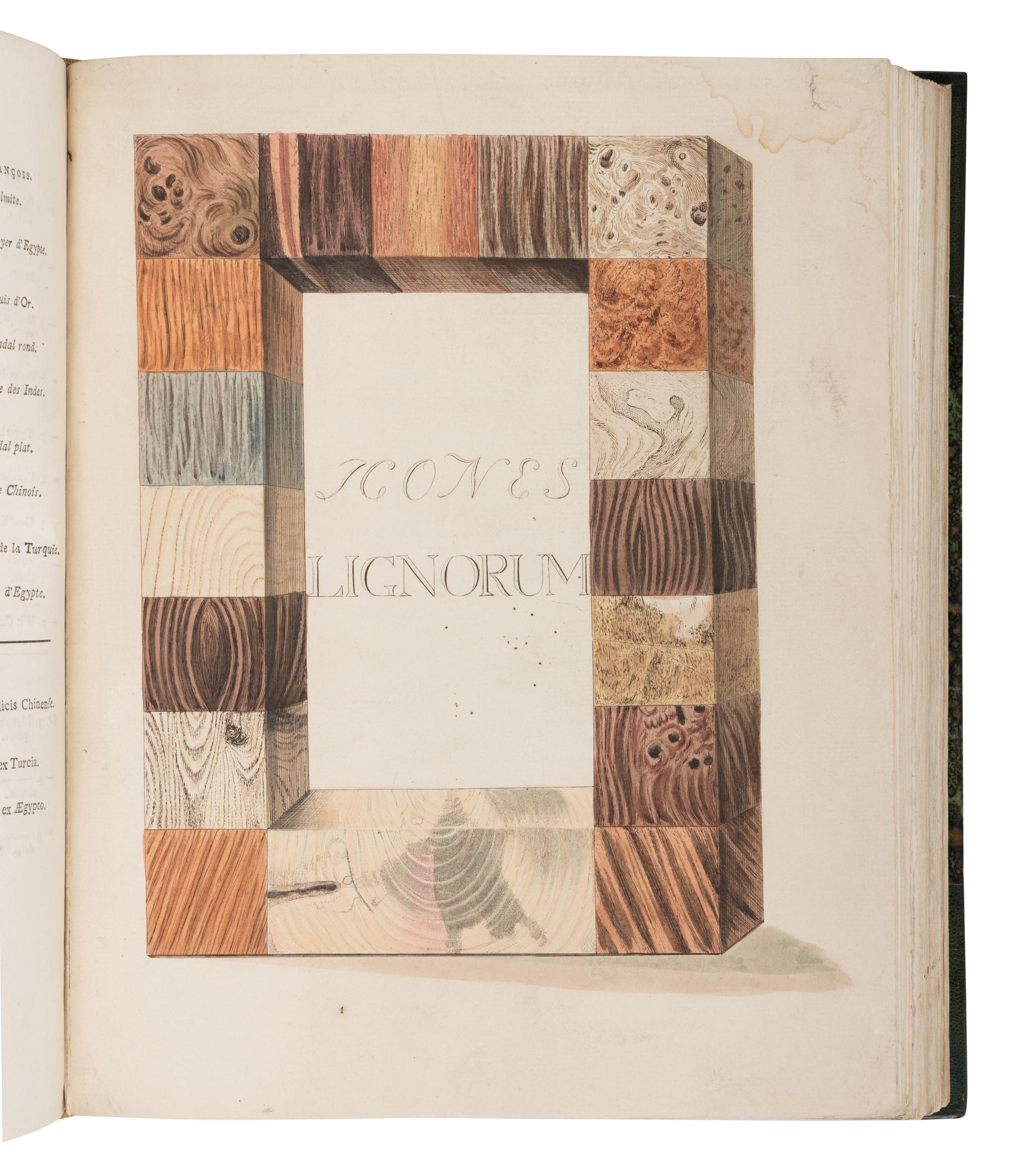 [NATURAL HISTORY]. [HOUTTUYN, Martinus (1720-1798)]. A Representation of Inland and Foreign Wood, as well Trees as Shrubs, which are Collected by the Lovers of Natural History in their Cabinets of Natural Curiosities for Use and Pleasure . -- Afbeeldingen van Meest alle Bekende, In- en Uitlandsche Houten... -- Abbildung In-und Auslaendischer Hoeltzer… Amsterdam: Jan Christian Sepp, 1773, 1791-1795.