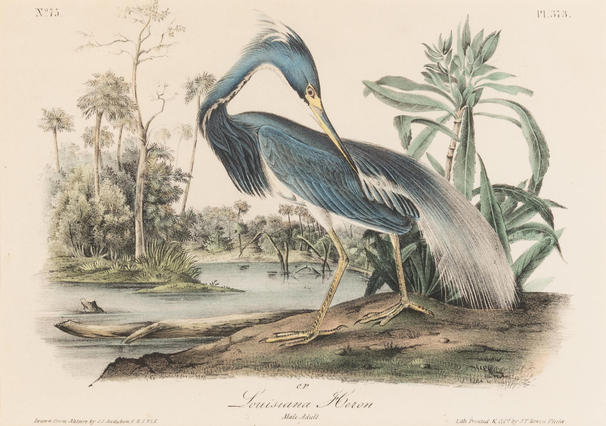 [Natural History] Audubon, John James. Group of 10 prints from the octavo "Birds of America"
