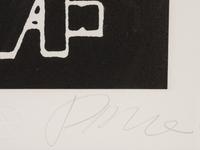 Untitled (from Evolution/Revolution/Resolution)