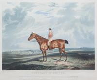 Dean WOLSTENHOLME, after - R.G. REEVE, engraver Image 12 x 16 1/2 inches. — Portrait of Driver