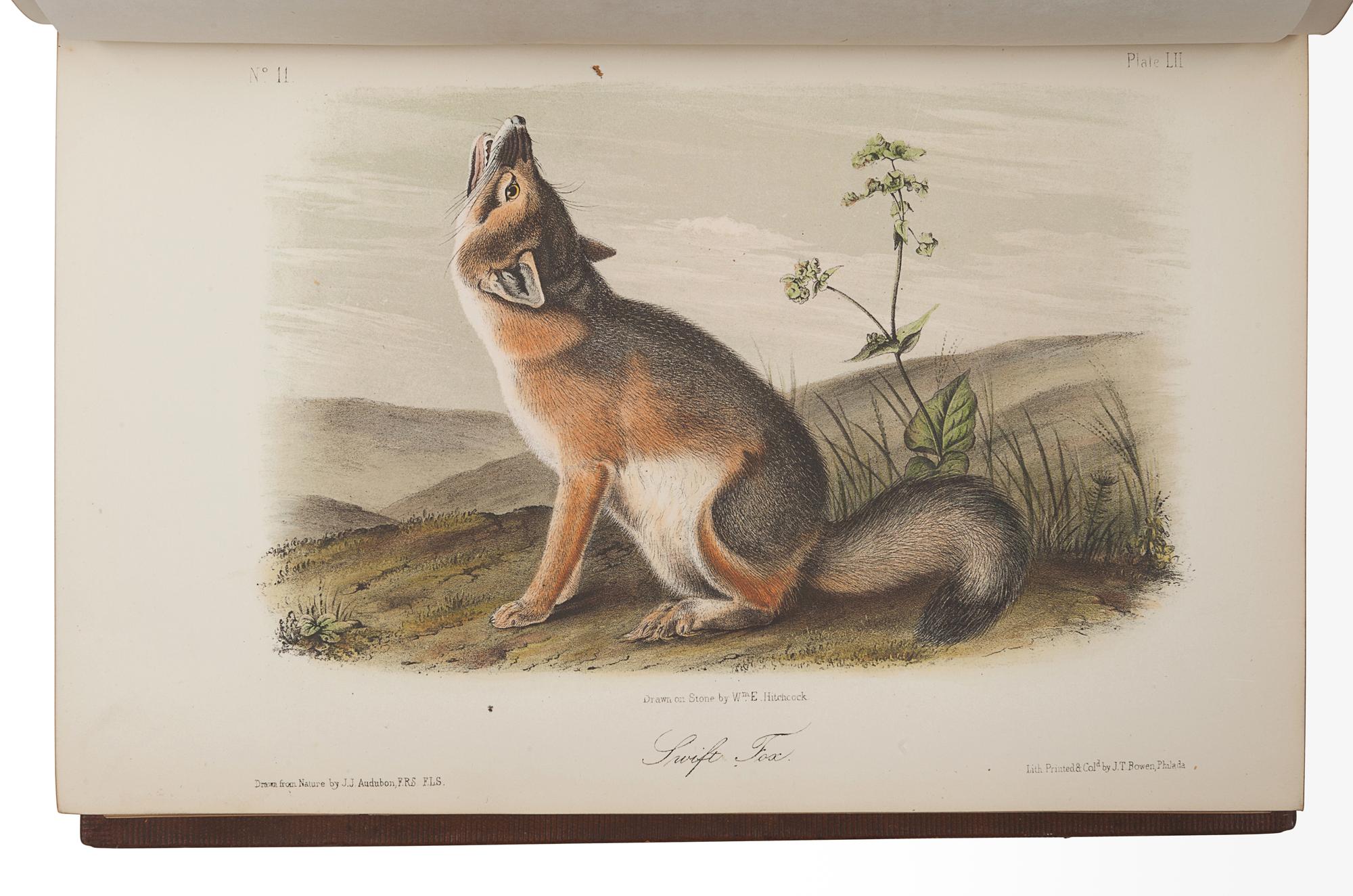 AUDUBON, John James (1785-1851). The Birds of America, from Drawings Made in the United States and their Territories . New York: J.J. Audubon; Philadelphia: J.B. Chevalier, [1839-] 1840-1844. -- AUDUBON, John James and John BACHMAN (1790-1874). The Quadrupeds of North America . New York: V.G. Audubon, 1849-1854.