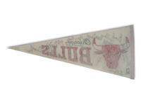 A 1988-89 Chicago Bulls Team Signed Autograph Pennant Including Michael Jordan (Beckett Authentication Services BAS Certified),