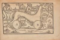 [Early Printing] Vegetius Renatus, Flavius. Flavii Vegetii Renati Vier bücher der Ritterschafft...