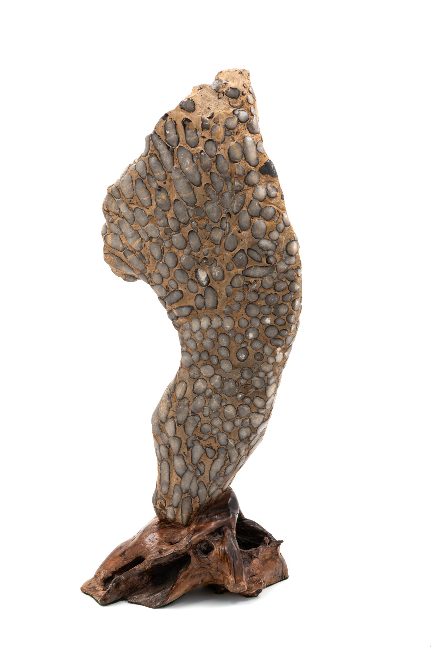 A Limestone Scholar's Rock Height 21 inches. — 20TH CENTURY