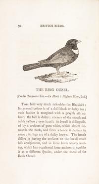 BEWICK, THOMAS. A History of British Birds. Newcastle, 1797-1804. 2 vols.