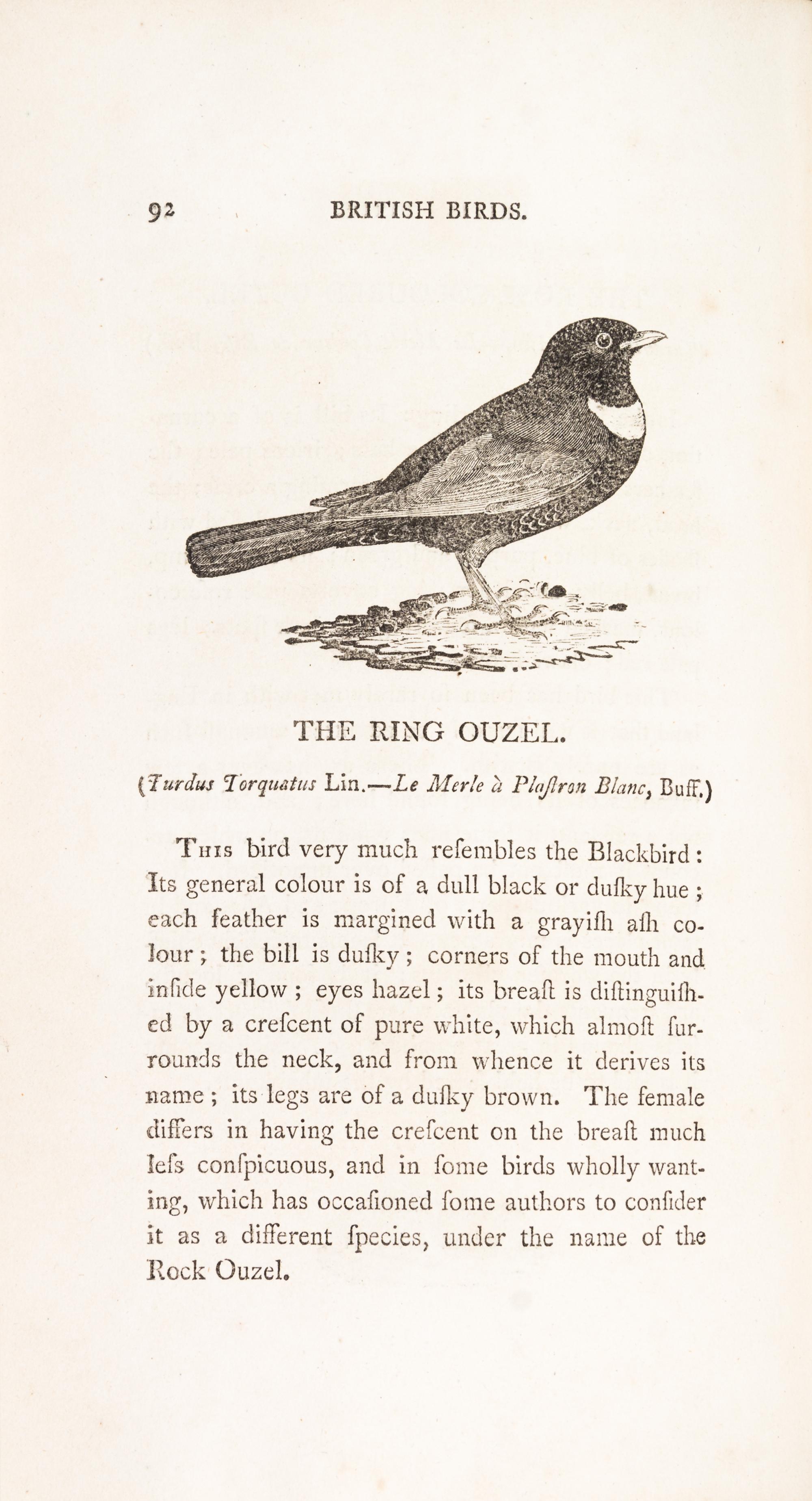 BEWICK, THOMAS. A History of British Birds. Newcastle, 1797-1804. 2 vols.