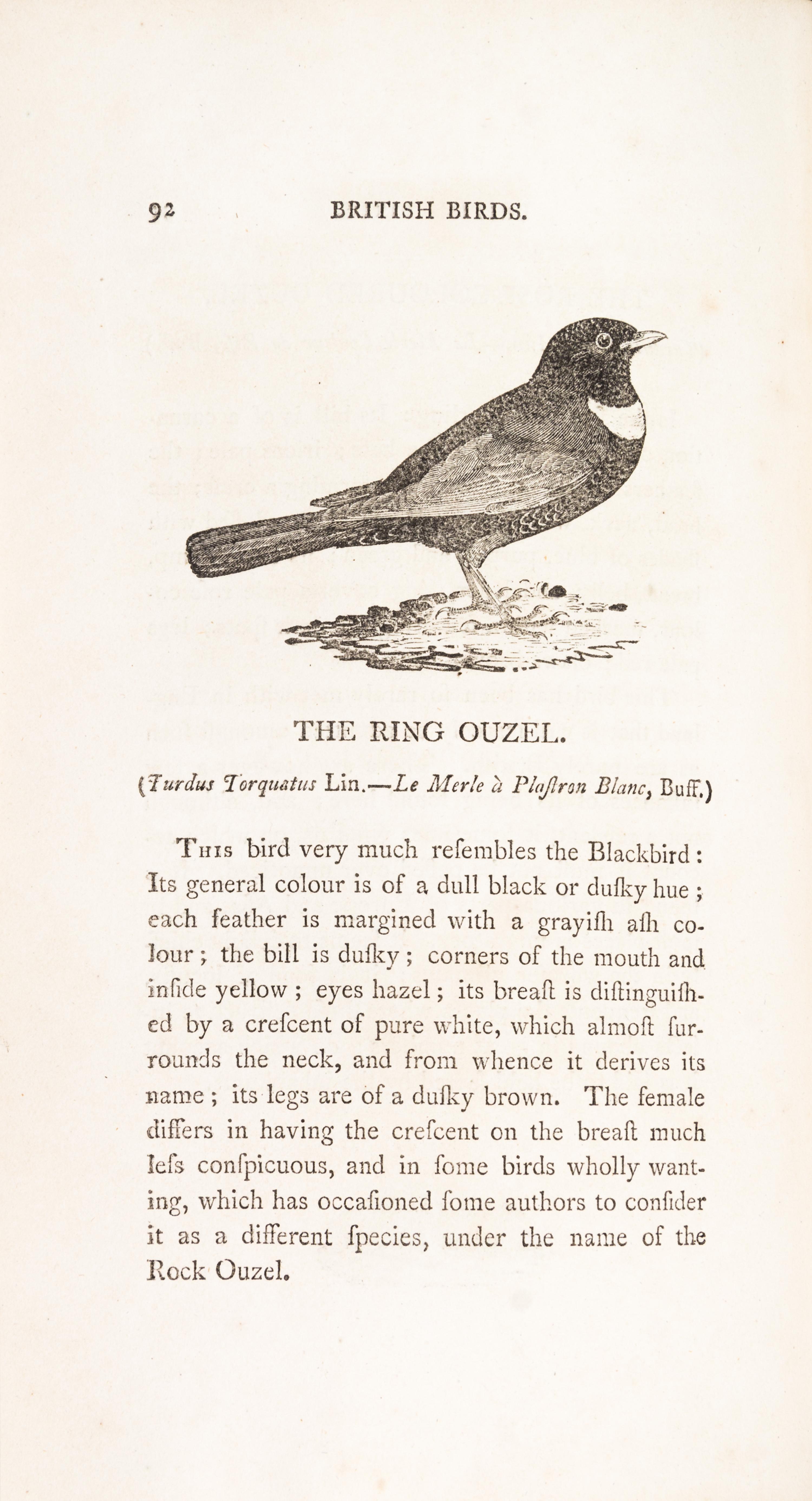 BEWICK, THOMAS. A History of British Birds. Newcastle, 1797-1804. 2 vols.