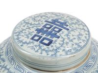 A Pair of Chinese Porcelain Jars